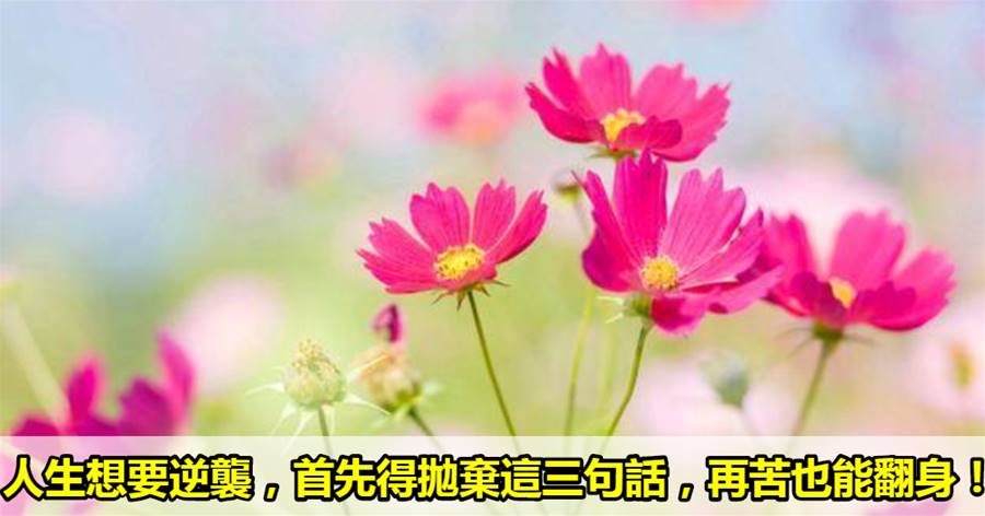 人生想要逆襲，首先得拋棄這三句話，再苦也能翻身！