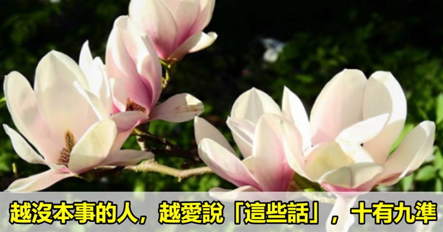 越沒本事的人，越愛說這些話，十有九準