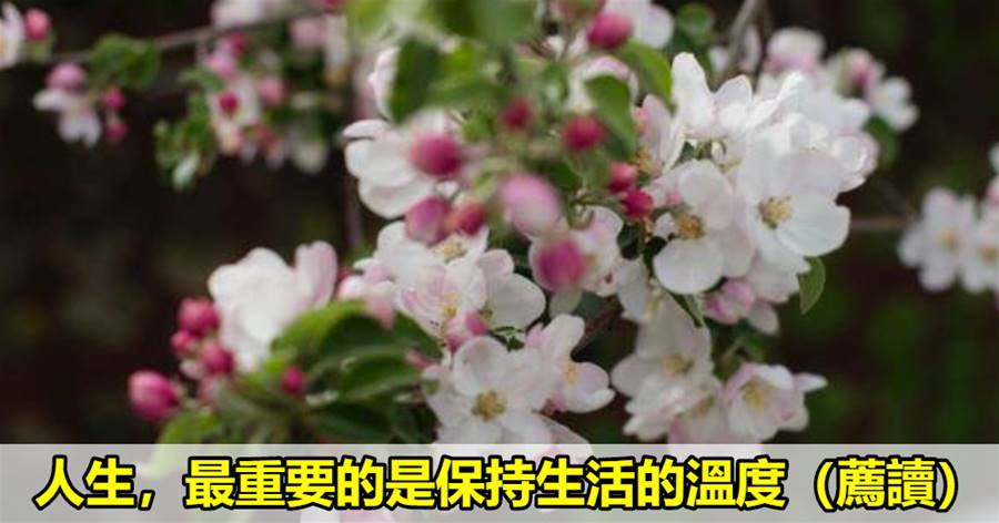 人生，最重要的是保持生活的溫度（薦讀）