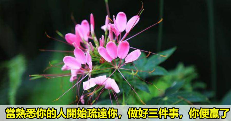當熟悉妳的人開始疏遠妳，做好三件事，妳便贏了