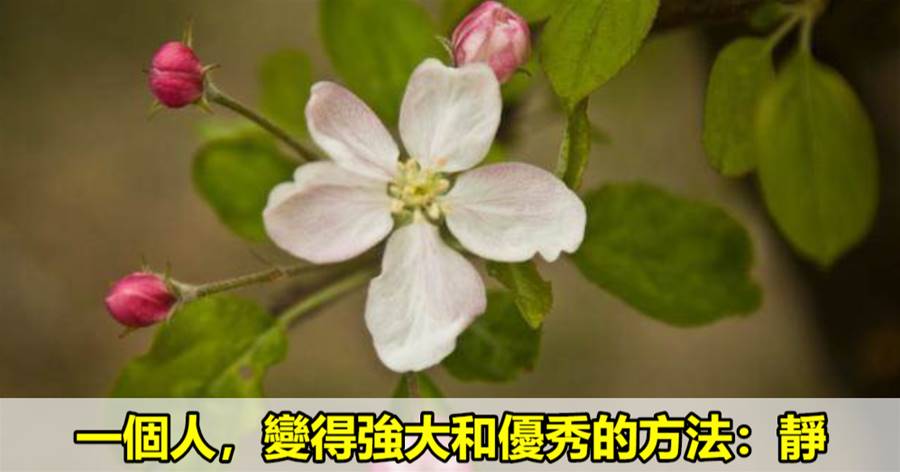 一個人，變得強大和優秀的方法：靜