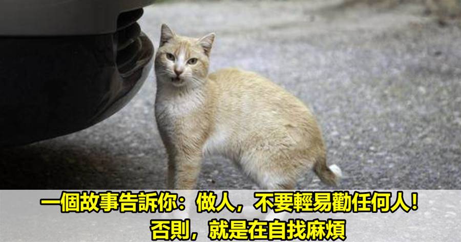 一個故事告訴你：做人，不要輕易勸任何人！否則，就是在自找麻煩